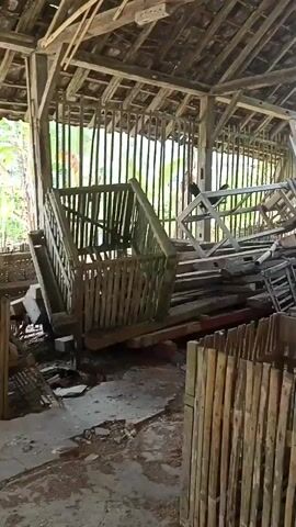 The video shows a dilapidated wooden structure, possibly a coop or barn, filled with debris. The roof is partially collapsed, with exposed wooden beams and rafters. The walls are constructed of vertical wooden poles, with some sections covered by bamboo mats. In the foreground, there are several wooden enclosures made of vertical slats. The central area of the structure is piled high with salvaged wood, metal frames, and other discarded materials. A black chicken is visible, perched on some of the debris in the middle ground and then hopping onto a wooden beam. The ground is covered in dirt and leaves. The lighting suggests an overcast day or a shaded interior.