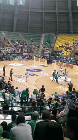 Basketball game underway featuring green and white uniformed teams