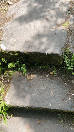 Tourist explores historic Eberbach castle ruins and scenic overlooks