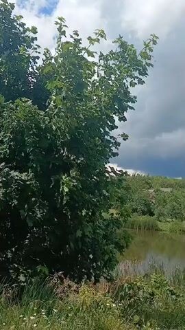 The video begins with a close-up of a large, leafy green tree. As the camera pans to the right, the scene widens to reveal a calm body of water, likely a lake or pond, reflecting the sky. The opposite bank of the water is lined with reeds and dense green trees, with a few houses visible among the foliage on a gently sloping hill. The sky above is a mix of bright white clouds and darker, more ominous storm clouds, suggesting changing weather. The camera continues to pan, offering a broader view of the tranquil landscape under the dramatic sky. The video appears to be shot on a handheld device, with some minor camera shake visible.