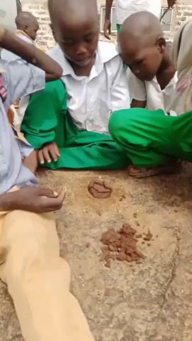 A group of children are sitting on a rough, rocky surface. The children are wearing school uniforms, consisting of white shirts and green trousers or skirts. In the center of the group, two children are interacting with a pile of what appears to be animal dung, which has been placed on the ground. One child is using their hands to manipulate the dung, while another child observes closely. Other children are also watching the activity. The environment appears to be outdoors, with a brick wall visible in the background. The overall scene depicts children engaged in an activity involving animal waste.