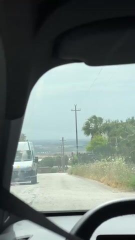 The video shows the view from inside a car driving down a paved road on a sunny day. The road is narrow, slightly worn, and descends gently. The landscape on either side is characterized by dry vegetation, including white wildflowers and some palm trees. A fence runs along one side of the road. Utility poles and wires are visible above. In the distance, the view opens up to reveal a landscape of fields, buildings, and a hazy horizon. The car's dashboard and steering wheel are partially visible in the foreground. The video remains static, showing the car moving forward.