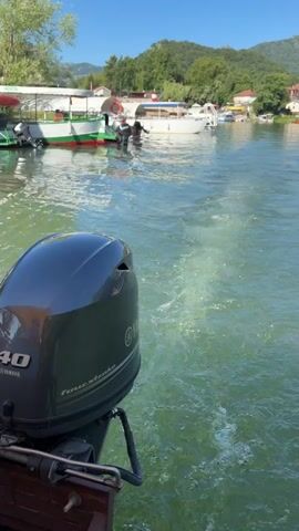 A video shows the back of a boat with a gray Yamaha 40 four-stroke motor partially submerged in the water, looking out at a river with other boats and a shore lined with green trees and houses in the distance. The boat is moving, creating a foamy wake behind it. The water is a light green color, and the sky is clear and blue.