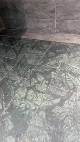 The video shows an interior scene of a room with tiled walls and floor. In the background, a doorway leads to a darker space where two dogs are resting on the floor. One dog is black and white, and the other appears to be mostly black. A white toilet and a blue trash can are visible in the darker space. The camera pans slightly, showing the tiled floor and a wooden door in the foreground.