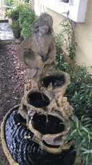 Morning garden tour in Ojomu: fountains, flowers, and foliage up close