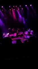 Live music performance observed in London with colorful stage lighting