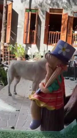 The video depicts a dog and a statue. A light-colored dog with short fur stands on a patterned patio, facing left. In the foreground, a statue of a girl sits on a log. She wears a red and orange plaid dress with a yellow skirt, a green vest, and purple shoes and a hat with a daisy on top. Behind the dog is a gray building with three sets of wooden windows with shutters. Plants are on a balcony behind the railing. The sky is bright, and shadows are cast across the patio. The statue is partially obscured by foliage in the foreground.