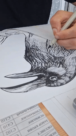 Artist draws detailed raven illustration in early morning Kempelevo session