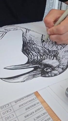 Artist draws detailed raven illustration in early morning Kempelevo session