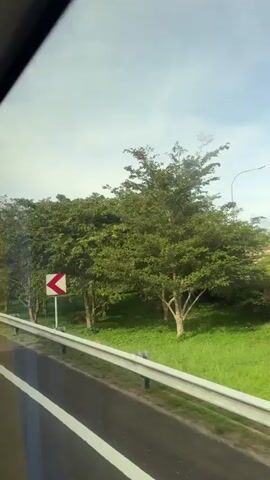 The video depicts a view from a moving vehicle, likely a bus or car, traveling along a highway. The camera is positioned inside the vehicle, looking out the side window. A metal guardrail runs alongside the road, with a grassy embankment beyond it. On the embankment, several trees and shrubs are visible.  Road signs with red chevrons pointing left are periodically spaced along the side of the road.  The sky is overcast with a mix of white and gray clouds. The video appears to be recorded during the daytime. The road surface is asphalt with visible white lane markings. The footage is slightly shaky due to the motion of the vehicle.