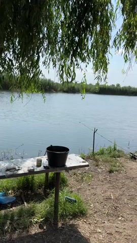 The video shows a calm lake scene. In the foreground, a simple wooden table stands on a dirt and grass bank. On the table is a black bucket and a can. Two fishing rods are set up near the water's edge, with lines extending into the lake. The water is still, reflecting the sky, and a line of trees forms the horizon across the lake. Willow branches hang down from the top of the frame, framing the view. The overall atmosphere is peaceful and suggestive of a quiet fishing excursion.