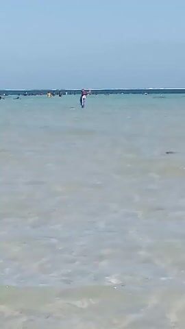 The video shows a crowded beach scene on a sunny day. In the foreground, shallow water stretches out, reflecting the clear, light blue sky. Several people are visible wading in the water further out, with some individuals wearing brightly colored clothing. The water appears calm, with only slight ripples on the surface. In the middle ground, one person stands out, wearing a combination of blue pants and a red-and-white shirt, holding what appears to be a white object, possibly a towel. In the background, a dense line of people extends along the distant shoreline. The overall setting suggests a popular and busy beach location.