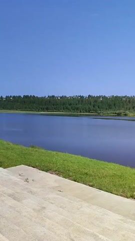 The video shows a wide, still body of water with a tree-lined shore in the background. The sky is clear and blue. In the foreground, there are concrete steps leading down to a grassy area. The scene appears to be a park or recreational area. The water is calm and reflects the trees and the sky. There are some buildings visible among the trees in the distance. The overall impression is one of peace and tranquility.