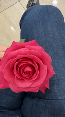 Beauty salon visit with manicure service in Sofia