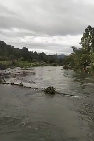The video shows a wide, fast-flowing river with choppy water. Lush green trees and foliage line the banks, with a hilly, forested landscape in the background. The sky is overcast with dark, heavy clouds, suggesting a gloomy or impending rainy day.

Several structures are visible along the riverbanks. On the right side, there are small wooden buildings, possibly houses or shops, with some people in the distance. Further along the right bank, a taller structure resembling a water tower is visible amongst the trees. On the left side, there are glimpses of what appear to be homes with corrugated metal roofs, nestled into the hillside, with trees overhanging them. There's also a small, open-sided shelter near the water's edge with some people visible. In the distance, a yellow railing and a road suggest a more developed area.

The overall scene depicts a rural or semi-rural settlement alongside a natural, dynamic river. The activity appears to be general life in a riverside community. The presence of people suggests it's daytime, though the cloudy sky makes it difficult to determine the exact time. The emotion evoked is one of natural power and perhaps a sense of isolation or simplicity, depending on the viewer's perspective. There is no visible text in the video.