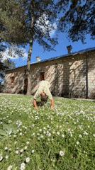 People pick daisies, play in field near Cetinje church