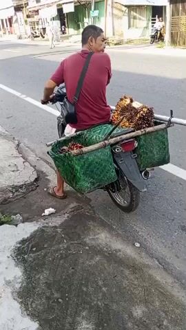 A man is riding a motorcycle down a street. He is wearing a red shirt and has a black bag slung across his chest. The motorcycle has two green woven baskets attached to the back, one on each side, carrying what appear to be palm fruits. A wooden pole is placed across the baskets. The man is looking to his right. In the background, there are buildings and other vehicles on the street. The ground appears wet in places.
