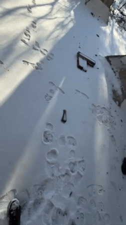 Visitor documents exploration of Pripyat cooling tower in snow