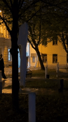 Nighttime park activity recorded by multiple witnesses