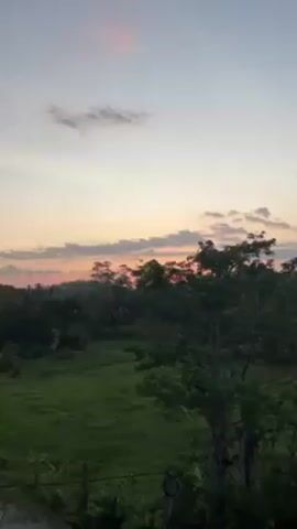 The video shows a sunrise or sunset over a rural landscape. In the foreground, there's dense green vegetation, including trees and fields. A narrow paved road cuts through the landscape, and a few individuals can be seen walking or cycling along it. The sky displays hues of orange, pink, and blue, indicating dawn or dusk. There's a palm tree partially visible on the left side of the frame, and some utility poles line the road. The overall scene appears peaceful and serene.