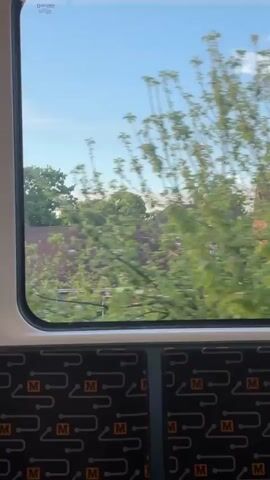 The video shows a view from a train window as it moves past a residential area. Outside, there are trees, houses, and glimpses of a bright blue sky. Inside, the train seats have a black and grey pattern featuring the letter "M". The camera is static, focusing on the view through the window. The images outside the window are blurred due to the speed of the train.