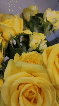 Roses, food, and live saxophone at a Baghramyan gathering