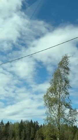 The video shows a view from inside a moving vehicle, looking out the window at a landscape. The sky is blue with scattered white clouds. In the foreground, there are electrical wires running parallel to the road. Below the wires, there's a line of trees forming a forest edge. The trees are mostly green with some showing lighter, possibly birch-like foliage. As the vehicle moves, birch trees pass by, along with utility poles and their wires.