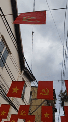 Morning life documented across Da Lat's gardens and streets