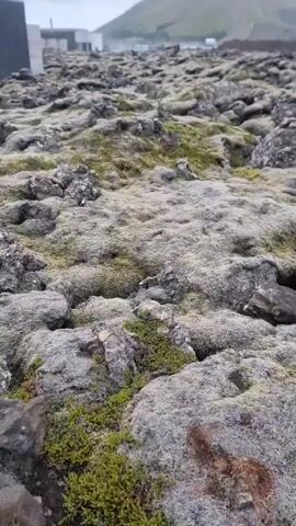 The video showcases a desolate volcanic landscape covered in moss and rocks. The scene appears to be in Grindavík, Iceland, as indicated by the volcanic terrain. The weather is overcast and the time of day is difficult to ascertain, but it seems to be daytime. 

In the distance, there are some modern buildings, possibly part of a facility or settlement, contrasting with the rugged natural environment. A paved pathway, likely a walking trail, winds through the rocks, inviting exploration. The overall mood is one of solitude and raw, untamed nature. No people are visible in the footage. There is no visible text in the media file.