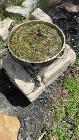The video opens with a close-up shot of a large metal pot filled with water, leaves, and red berries, suspended over a fire pit made of rocks and ashes. The pot is attached to a chain, which is supported by two large white stones. In the background, there is lush green grass and trees, with a hint of a mountainous landscape.

The camera then pans out to reveal a man with a beard and a black baseball cap kneeling beside the pot. He is wearing a green jacket and dark pants. The man is holding a metal lid, seemingly about to cover the pot. The fire pit is visible in front of him, with burnt logs and embers. The surrounding area is a grassy clearing with scattered rocks and fallen tree branches. The overall scene depicts an outdoor cooking setup in a natural, possibly mountainous environment.