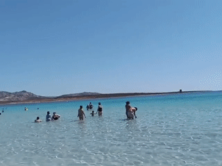 Crowded summer day at La Pelosa Beach, Stintino