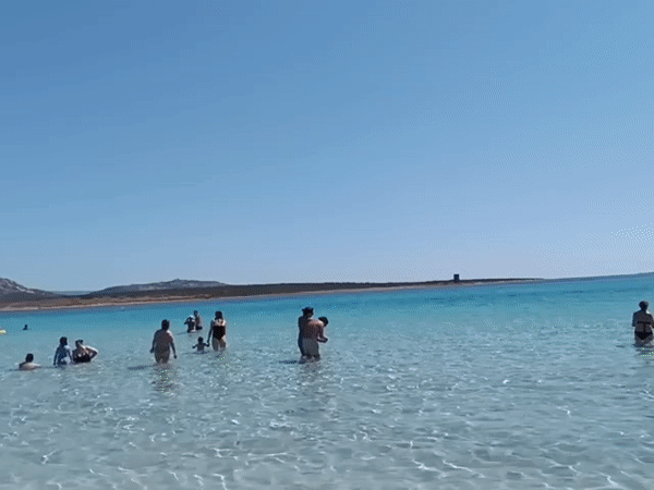 Crowded summer day at La Pelosa Beach, Stintino
