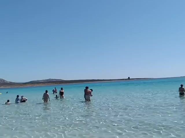 The video shows a crowded beach with many people swimming and sunbathing. The water is clear and blue, and the sand is white. There are umbrellas set up on the beach, and some people are sitting under them. The sky is clear and blue. There is a tower in the distance.