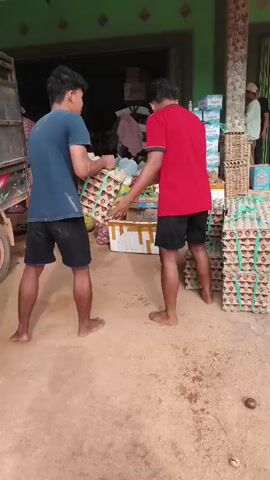 Two young men are carrying large stacks of egg cartons. One man wears a blue t-shirt and black shorts, the other wears a red t-shirt and black shorts. They are walking on a dirt path in front of a building that appears to be a market stall, with shelves of goods and other stacks of egg cartons visible. The man in the blue shirt lifts one of the stacks onto his shoulder. In the background, a truck is partially visible, and other people are seen in the market area. The man in the blue shirt then walks towards the truck, presumably to load the egg cartons.