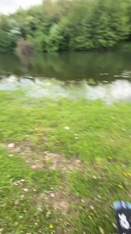 The video shows a grassy field sloping down to a river. There are three swans in the river, swimming away from the camera. The river is surrounded by trees and greenery. The sky is overcast. The camera appears to be held by someone walking, as there is slight movement in the video.