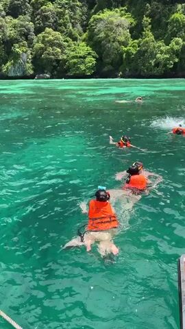 A group of people are snorkeling in clear, turquoise water near a lush, green, jungle-covered cliff. The individuals are wearing orange life vests and snorkeling masks, with some using snorkels. The water is calm and reflects the sunlight. Some people are swimming or floating, while others appear to be gathered together. A portion of a boat is visible in the lower right corner of the frame. The overall scene depicts a recreational activity in a tropical environment.