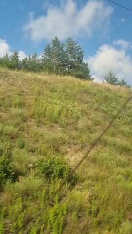 This video captures a rolling landscape with a grassy hill under a bright blue sky dotted with fluffy white clouds. The hill is covered in a mix of dry and green grasses, with occasional sparse trees and bushes. The camera appears to be moving, suggesting it was filmed from a vehicle, possibly a train or car, traveling alongside the hill.

In the foreground, there is a strip of vibrant green vegetation, which blurs slightly due to the movement. Further up the hill, the grasses become drier and lighter in color, transitioning into patches of exposed earth or sand in some areas. A line of trees, mostly evergreens, crowns the top of the hill, stretching across the frame. The sky is a clear, bright blue, indicative of a sunny day. The presence of what appear to be power lines in the upper right corner suggests a location near human infrastructure, likely a road or railway.

The scene evokes a sense of natural beauty and tranquility, typical of a rural or semi-rural setting during daytime. The lush green of the foreground, contrasted with the drier grasses and trees on the slope, suggests a warm season, possibly late spring or summer. There is no text visible in the video. The overall impression is a peaceful, scenic view of the Ukrainian countryside.