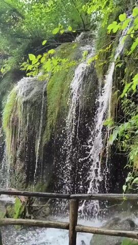 A waterfall cascades down a moss-covered rock face surrounded by lush green foliage. The water creates a frothy spray as it plunges into a pool below. A wooden railing runs horizontally across the lower part of the frame, suggesting a pathway or viewing area for visitors. The scene is natural and serene, with the sound of the rushing water being the primary sensory input. There are no people visible in the video.