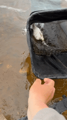 Ordinary life moments documented in Noviy, Russia