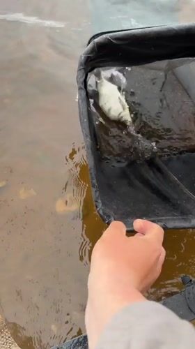 Ordinary life moments documented in Noviy, Russia