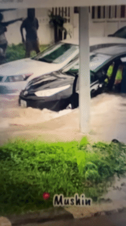 Flooded Lagos streets and a kitten stealing the show