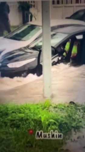Flooded Lagos streets and a kitten stealing the show