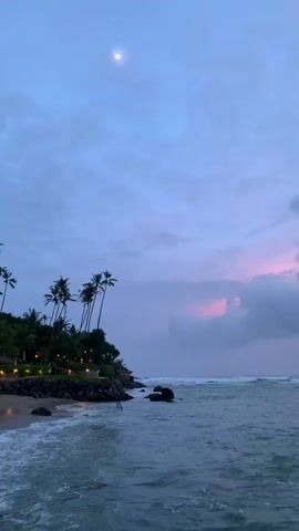 This is a vertical, medium shot video capturing a serene coastal scene at dusk. The primary subjects are the natural elements of the environment: a calm ocean with gentle waves lapping at a sandy shore, a lush green hillside dotted with tall palm trees, and a vast sky filled with soft, muted clouds. A faint moon is visible in the upper portion of the sky.

The setting is a tropical beach, likely a resort or private property, indicated by the presence of pathway lights illuminating the edge of the vegetation and the beach. Rocks are scattered along the shoreline and in the shallow waters. The overall atmosphere is peaceful and tranquil.

The time of day is clearly dusk, with the sky transitioning from daylight to night. The clouds display subtle hues of pink and purple, suggesting the last remnants of a sunset. The weather appears to be calm and possibly humid, typical of a tropical evening.

There is no visible text within the media file. The focus is entirely on the natural beauty and peaceful ambiance of the location. The scene evokes a sense of calm and relaxation.