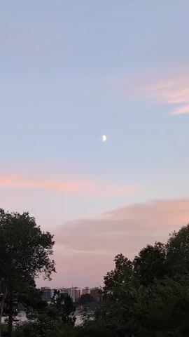 This media file captures a tranquil twilight scene in Lidingö, Sweden. The sky transitions from a pale blue at the top to soft hues of pink and peach closer to the horizon, indicative of either sunrise or sunset. A crescent moon is visible in the upper portion of the frame, shining gently against the colored sky.

The foreground is dominated by the silhouettes of lush, dark green trees, their branches reaching upwards. These trees frame the lower part of the image, creating a natural border. Beyond the trees, a cityscape is visible, with several buildings of varying heights and colors. The architectural style suggests an urban or suburban setting. There is no visible text in the media file.

The overall atmosphere is serene and peaceful, suggesting a quiet moment in time. The soft lighting and the presence of the moon and twilight colors evoke a sense of calm and natural beauty. The scene appears to be set outdoors, likely from an elevated vantage point looking out over the city and the sky. The weather seems clear, with only a few wispy clouds visible. The time of day is clearly indicated by the twilight sky and the presence of the moon.