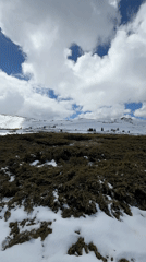 Spring snow documented on Vitosha Mountain near Sofia