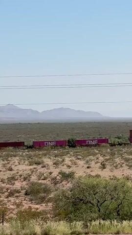 The video shows a train moving through a desert landscape. The train consists of several cargo containers. Some of the containers are red, while others are pink and have the word "ONE" written on them in white letters. The train is moving from left to right across the screen. In the background, there are mountains and a clear blue sky. The foreground consists of dry brush and sparse vegetation, typical of a desert environment. There are also power lines running horizontally across the upper portion of the frame. The overall impression is one of vastness and emptiness.