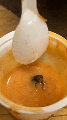 Pizza meal in Dhaka marred by fly-contaminated sauce cups