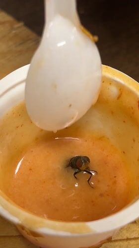 Pizza meal in Dhaka marred by fly-contaminated sauce cups