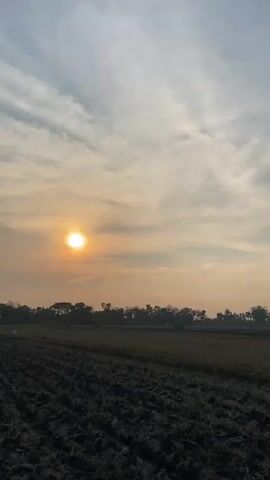 The video shows a view of a field at sunset. The sun is a bright, glowing orb in the sky, casting a warm, golden light over the landscape. The sky is filled with wispy clouds, painted in shades of orange and pink. In the foreground, a freshly plowed field stretches across the frame, its dark, rich soil contrasting with the soft colors of the sky. A line of trees forms a dark silhouette against the horizon, adding depth and texture to the scene. The overall impression is one of peaceful beauty and the gentle transition from day to night.