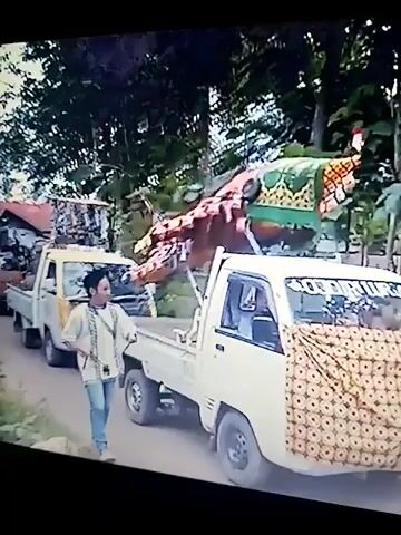 The video shows a procession of light-colored pickup trucks on an unpaved road, flanked by trees and foliage. The lead truck has a large, elaborate dragon-like effigy on its bed, decorated with green and yellow patterned fabric and red accents. A young man in a light-colored patterned shirt is walking beside the lead truck, holding a rope attached to something on the truck. Another truck follows closely behind. In the foreground, the front of a third truck is visible, also decorated with a patterned fabric. Several people are visible inside the cabs of the trucks. The overall impression is of a parade or a cultural event.